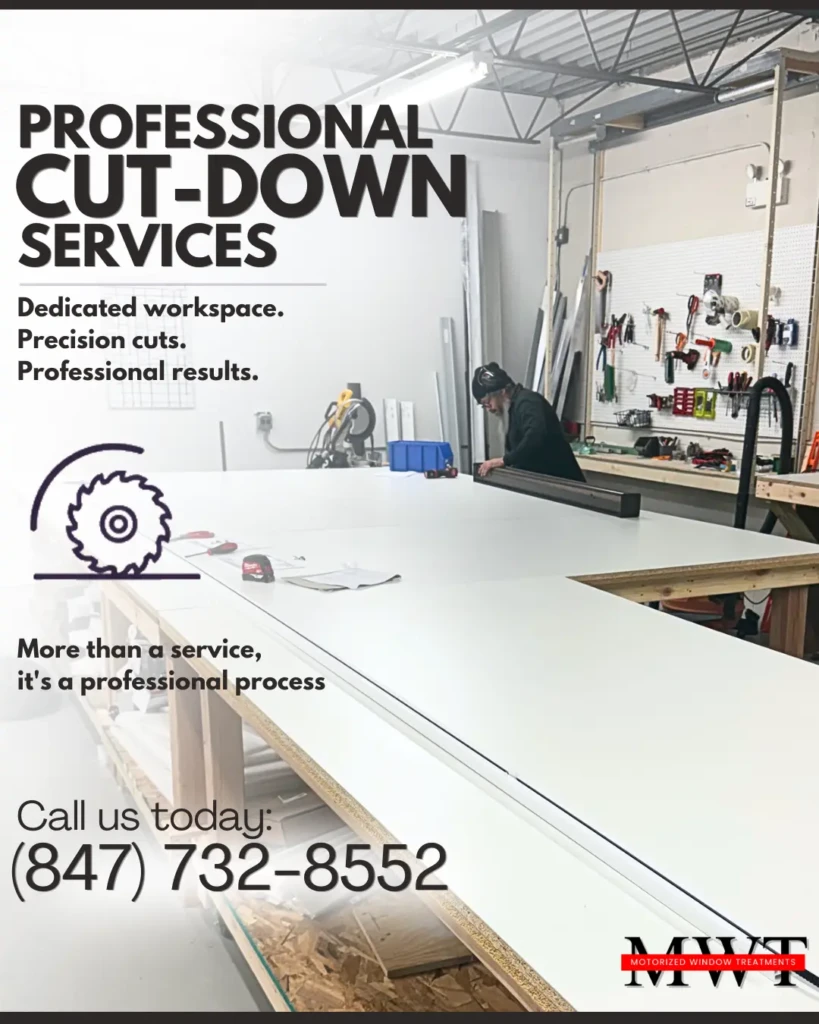 PROFESSIONAL-4